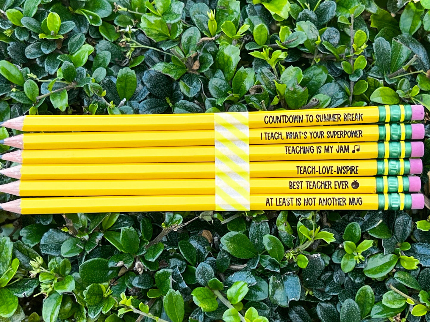 Teacher Appreciation Pencils Ticonderoga-Cute Teacher Quotes Pencil (set of 6)-Back to School-End of School Teacher Pencils